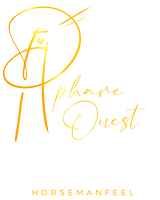 Écurie de propriétaire Lorient