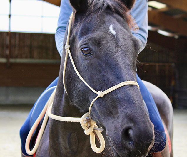 Pension pré Lorient