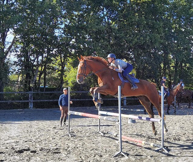 Pension chevaux Lorient