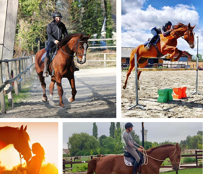 Écurie pour chevaux Lorient